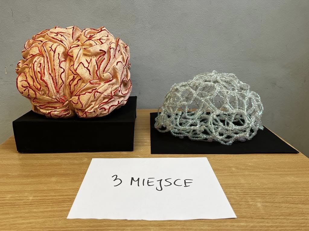 Mozg konkurs 2